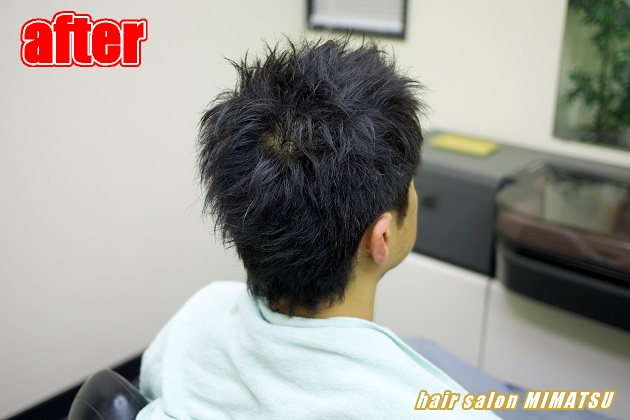 サンプルイメージ