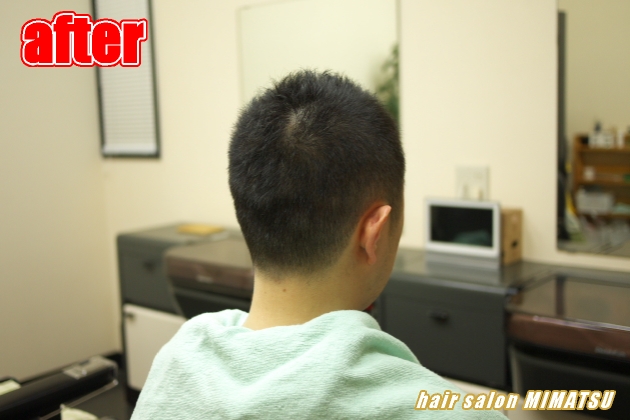 サンプルイメージ