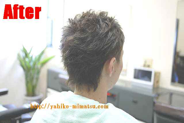 サンプルイメージ