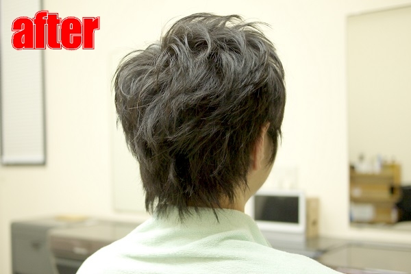 サンプルイメージ