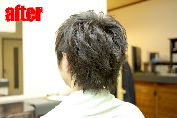 サンプルイメージ