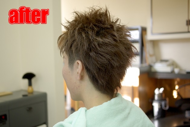 サンプルイメージ