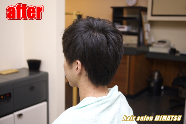 サンプルイメージ