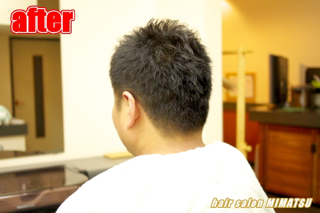 サンプルイメージ