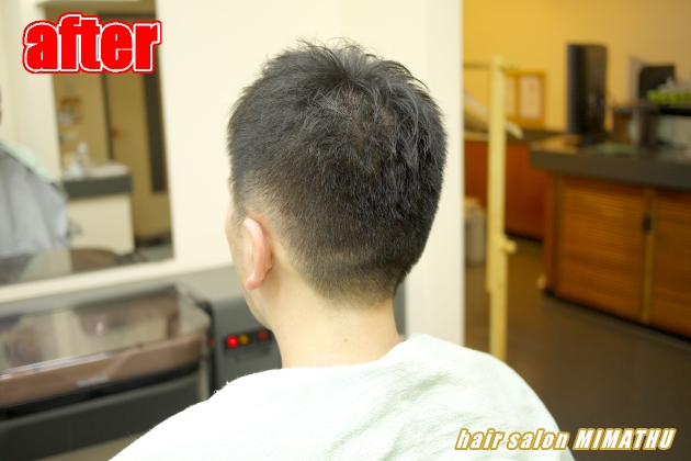 サンプルイメージ