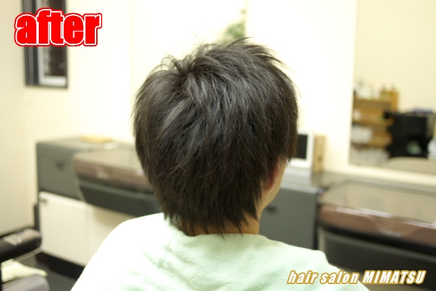 サンプルイメージ