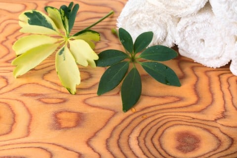 サンプルイメージ